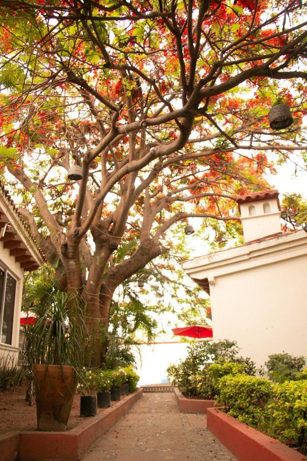 Casa Maria Emilia Hotel Cuernavaca Exterior photo
